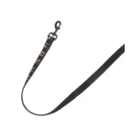 Thrills & Chills® LED Black Pumpkin Dog Leash 4' x 1" - Image 5