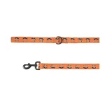 Thrills & Chills® LED Orange Pumpkin Dog Leash 4' x 1"
