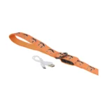 Thrills & Chills® LED Orange Pumpkin Dog Leash 4' x 1" - Image 2