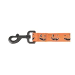 Thrills & Chills® LED Orange Pumpkin Dog Leash 4' x 1" - Image 3