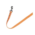 Thrills & Chills® LED Orange Pumpkin Dog Leash 4' x 1" - Image 5