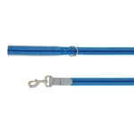 Top Paw® Reflective Dog Leash 6Ft x 1IN
