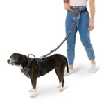 Arcadia Trail® Hands-Free Running Dog Leash - Image 2