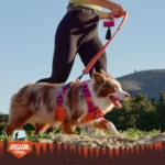 Arcadia Trail® Hands-Free Running Dog Leash - Image 7