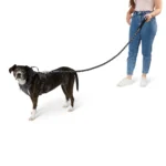 Arcadia Trail® Paracord Rope Dog Leash - Image 2