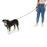 Arcadia Trail® Hands-Free Dog Leash - Image 2