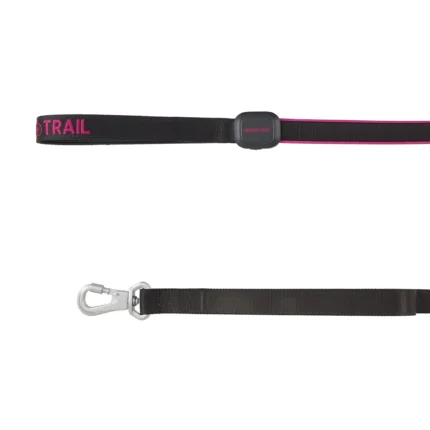 Arcadia Trail® Light-Up LED Dog Leash