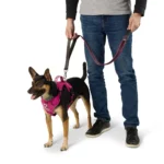 Arcadia Trail® Light-Up LED Dog Leash - Image 2