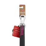 Arcadia Trail® Light-Up LED Dog Leash - Image 9