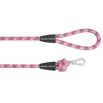 Arcadia Trail ™ Paracord Rope Leash