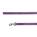 Top Paw® Nylon Dog Leash: 6-ft long