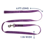 Top Paw® Nylon Dog Leash: 6-ft long - Image 2