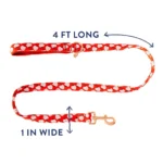 Top Paw® Strawberry Print Neoprene Dog Leash: 4-ft long, 1-in wide - Image 2