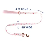 Top Paw® Peony Dog Leash: 4-ft long, 1-in wide - Image 2