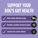 Purina® Pro Plan® Veterinary Supplements FortiFlora-Probiotic Powder Supplement for Dogs - 30 Count - Image 3