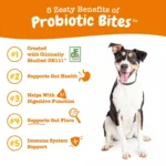 Zesty Paws Probiotic Supplement for Dogs - Pumpkin Flavored Soft Chews for Gut Health - Image 5