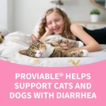 Nutramax® Proviable-DC Digestive Supplement for Cats & Dogs - Image 8