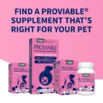 Nutramax® Proviable-DC Digestive Supplement for Cats & Dogs - Image 9