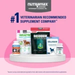 Nutramax® Proviable-DC Digestive Supplement for Cats & Dogs - Image 10