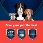 Pet Protect from the Makers of Advantage Vet-Formulated Hip & Joint Supplement for Dogs - 60 Chews - Image 3