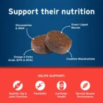 Pet Protect from the Makers of Advantage Vet-Formulated Hip & Joint Supplement for Dogs - 60 Chews - Image 4
