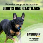 Nutramax® Dasuquin® with MSM - Soft Chew Joint Health Supplement for Large Dogs - 84 Count - Image 4