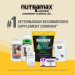 Nutramax® Dasuquin® with MSM - Soft Chew Joint Health Supplement for Large Dogs - 84 Count - Image 10
