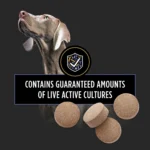 Purina® Pro Plan® Veterinary Supplements FortiFlora Chewable Tablets Dog Supplement - 45 Count - Image 5