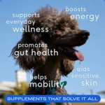 Native Pet The Daily Supplement for Dogs - Multivitamin Powder Supplement - Image 3