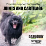 Nutramax® Dasuquin® with MSM - Soft Chew Joint Health Supplement For Small to Medium Dogs - 84 Count - Image 4