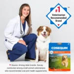 Nutramax® Cosequin® DS Joint Health Supplement for Dogs - Soft Chews with MSM & Boswellia - Image 4