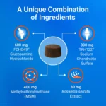 Nutramax® Cosequin® DS Joint Health Supplement for Dogs - Soft Chews with MSM & Boswellia - Image 6
