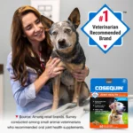 Nutramax® Cosequin® Joint Health Supplement for Senior Dogs - Maximum Strength Soft Chews - 60 Count - Image 4