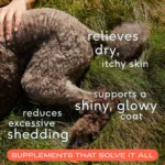 Native Pet Omega-3 Fish Oil & Alaskan Salmon Oil Skin & Coat Health Supplement for Dogs - Image 3