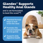 Vetnique Labs Glandex® Boot the Scoot® Advanved Vet Strength Anal Gland Soft Chew Dog Supplement - Image 4