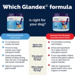 Vetnique Labs Glandex® Boot the Scoot® Advanved Vet Strength Anal Gland Soft Chew Dog Supplement - Image 6