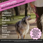 Pet Honesty 10-in-1 Multivitamin - Soft Chews - Image 2