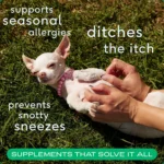 Native Pet Allergy & Immune Chews Allergy & Itch Relief Supplement for Dogs - Image 3