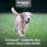 Cosequin® Senior Soft Chews - Image 3