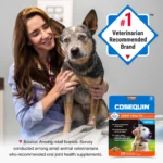 Cosequin® Senior Soft Chews - Image 4
