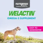 Nutramax® Welactin Omega-3 Soft Chews - Image 5