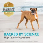 Nutramax® Welactin Omega-3 Soft Chews - Image 7