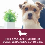 Vetality Canine Aspirin for Dogs - Pain Relief - Chewable Tablets - Image 4