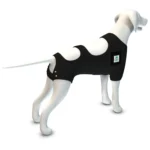Calm Paws Premium Recovery Vest and Calming Disk for Dogs - Image 5