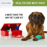 Chew + Heal Liquid Bandage First Aid Essential Spray for Dogs - Image 2