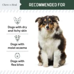 Chew + Heal Hydrocortisone Skin Lotion Anti-Itch First Aid Essential for Dogs - Image 2