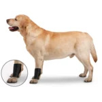 ZenPet Ortho Wrap Ligament - Image 2
