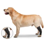 ZenPet Ortho Wrap Hock - Image 2