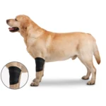 ZenPet Ortho Wrap Elbow - Image 2