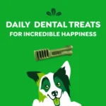 Greenies™ Adult Regular Dog Dental Treats - Natural, Oral Health, Original - Image 6